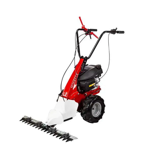 eurosystems Mehrzweckgerät M150 RG (MINIEFFE) (B&S) – nur Grundgerät